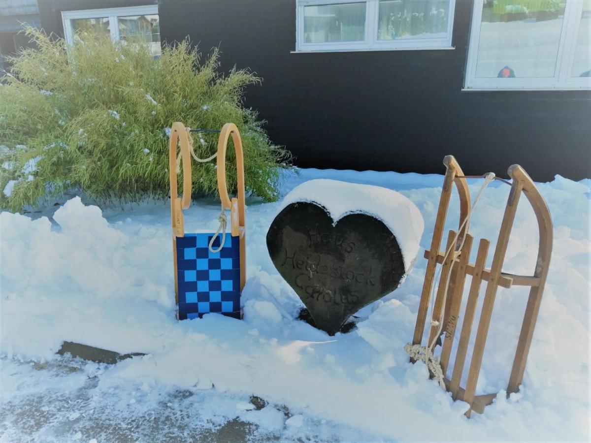 Bergchalet Heidestock Willingen  Dış mekan fotoğraf