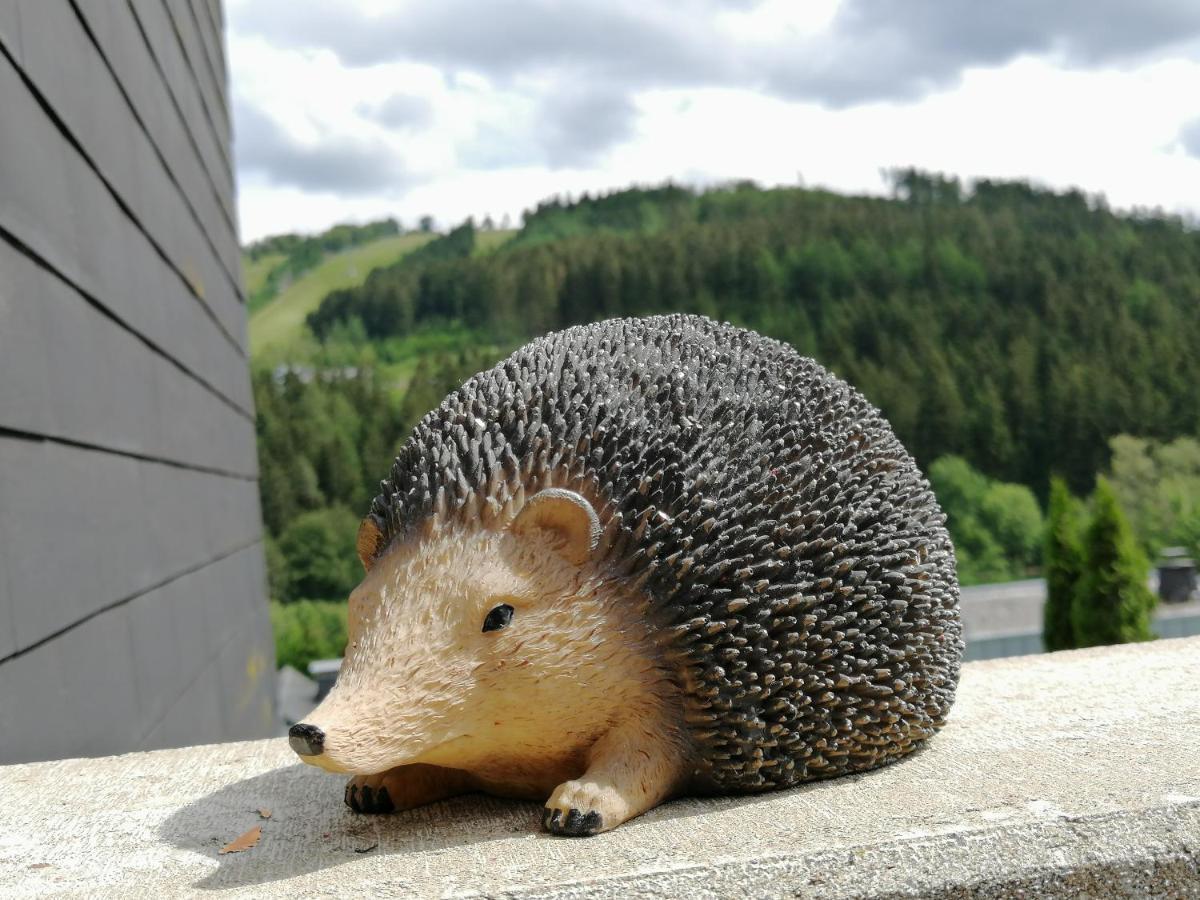 Bergchalet Heidestock Willingen  Dış mekan fotoğraf