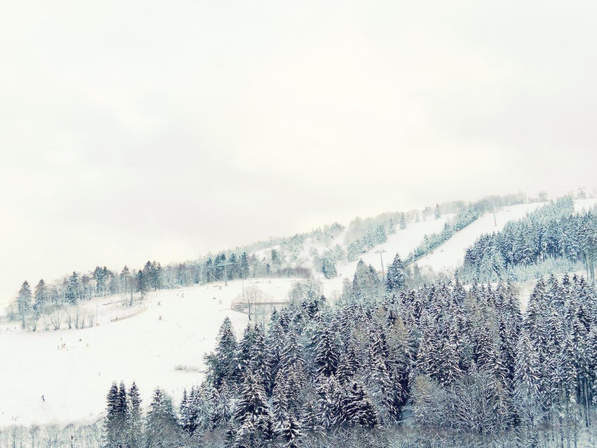 Bergchalet Heidestock Willingen  Dış mekan fotoğraf
