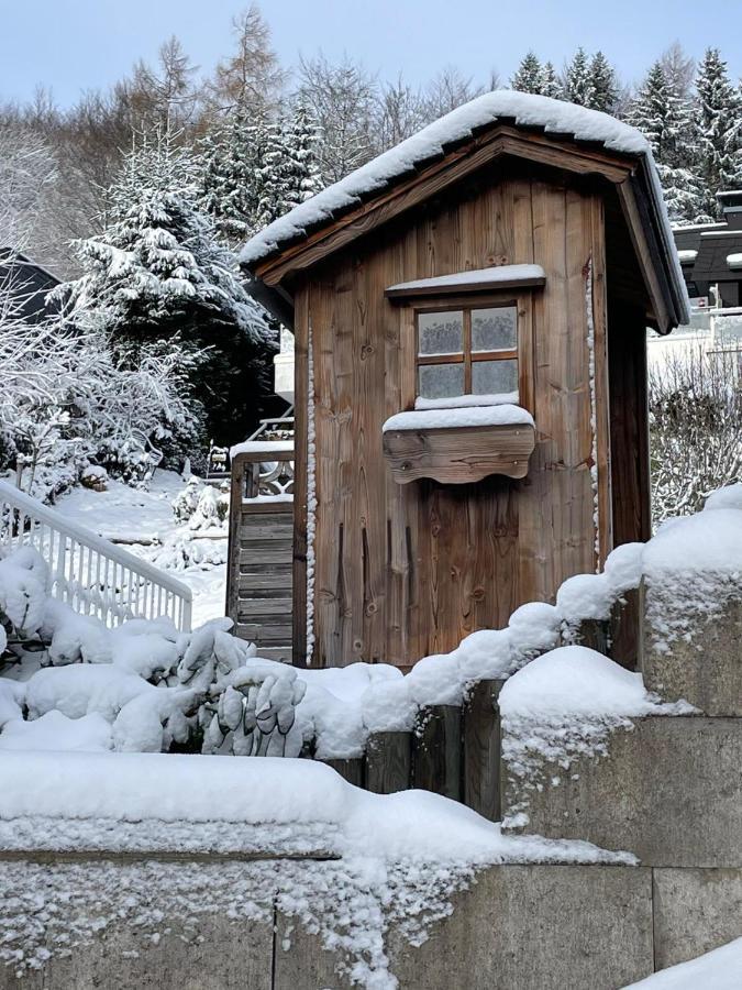 Bergchalet Heidestock Willingen  Dış mekan fotoğraf