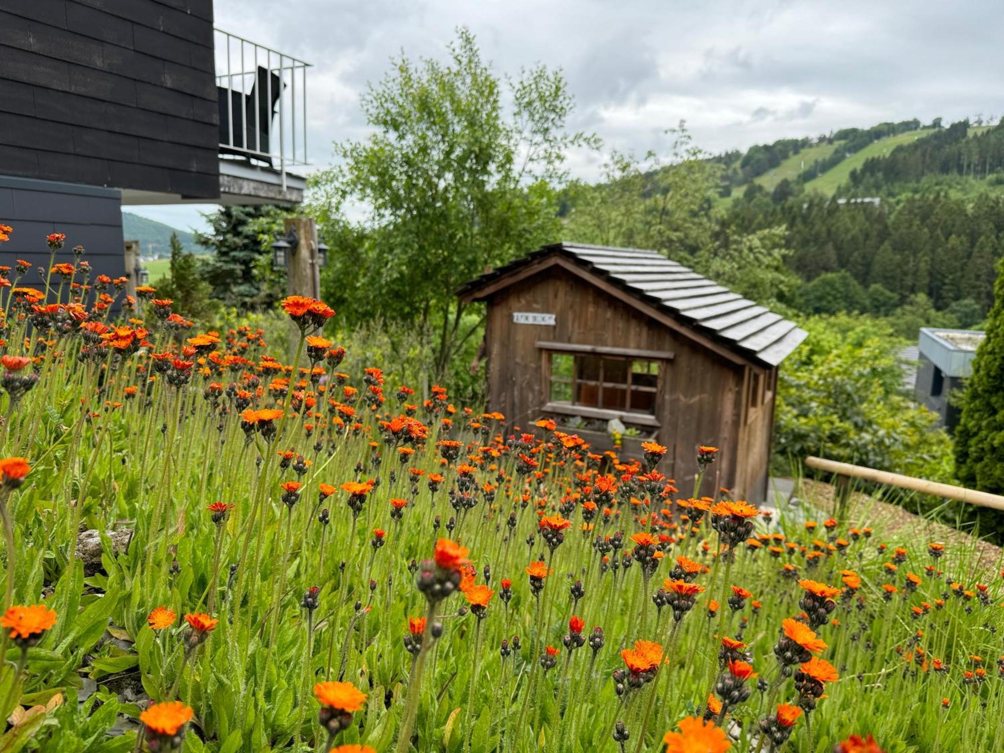 Bergchalet Heidestock Willingen  Dış mekan fotoğraf